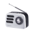 Радиоприёмник DEFENDER Signal 5Вт FM/AM/SW/BT/USB/TF/1200мАч, черно-белый (1/27)